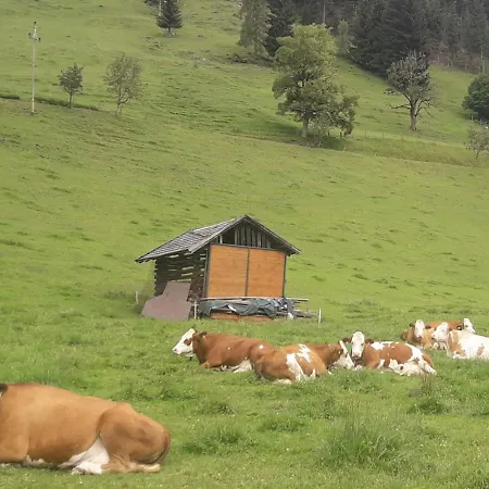 Ferienhaus Sonnenchalet Werfenweng