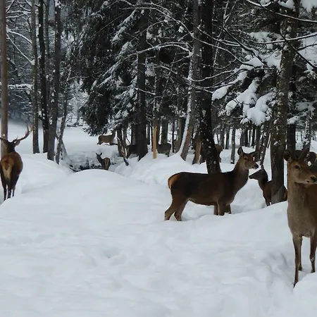 Sonnenchalet Werfenweng