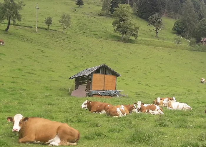 Dom wakacyjny Sonnenchalet Werfenweng